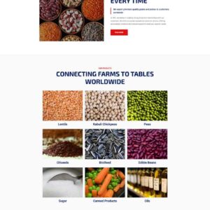 Variety of grains and pulses arranged in bowls, showcasing different colors and textures.